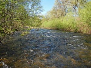 pêche sur la fecht en Alsace