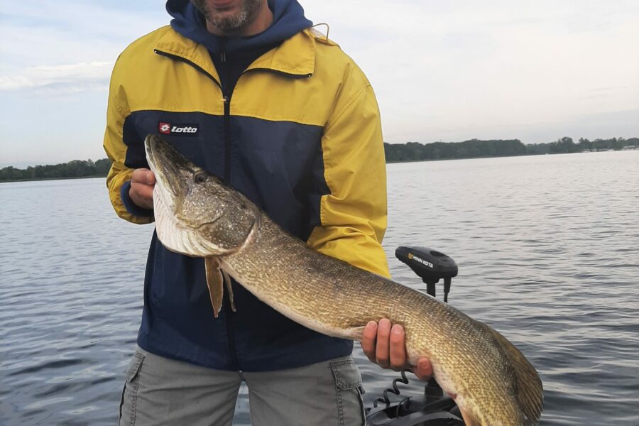 brochet métré alsace
