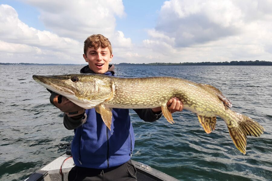 gros brochet en alsace