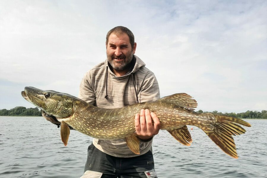 Guide de pêche carnassiers Alsace