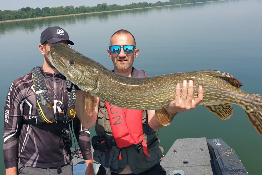 brochet géant alsace